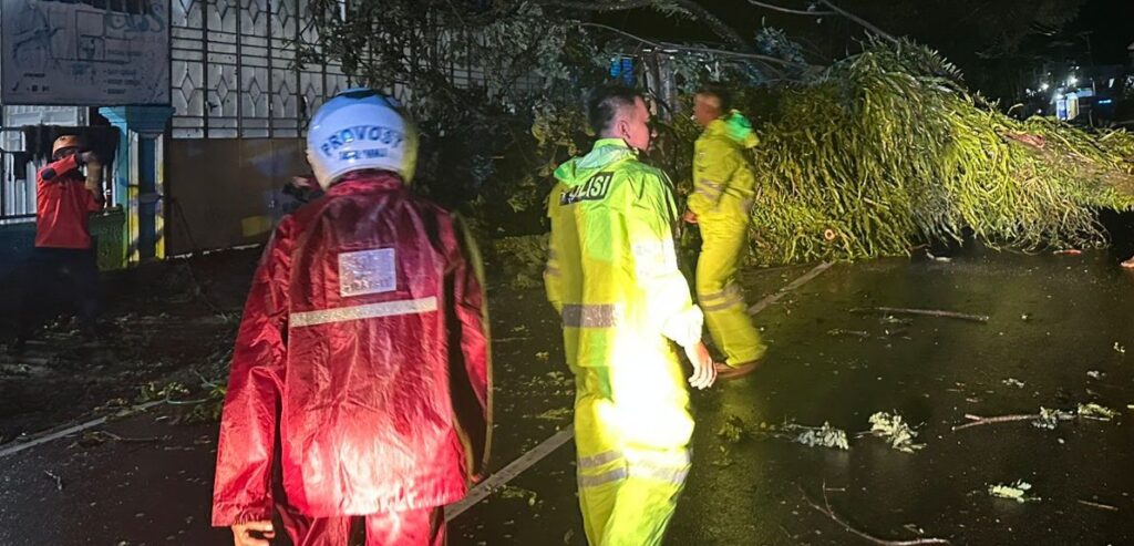 Pohon Tumbang Tutup Jalan Trans Sulawesi di Mamuju