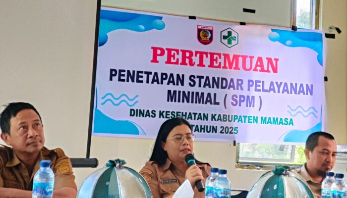 Dukung Sulbar Sehat, Dinkes Fokus Tingkatkan Layanan Kesehatan Dasar di Mamasa