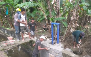 Gotong Royong Petani dan Petugas Pasang Pintu Air di Irigasi Lakejo, Dorong Ketahanan Pangan Polman
