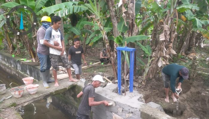 Gotong Royong Petani dan Petugas Pasang Pintu Air di Irigasi Lakejo, Dorong Ketahanan Pangan Polman