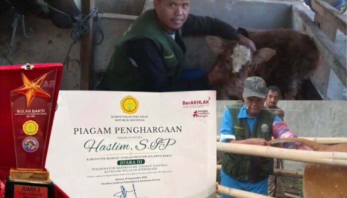 Sulbar Kembali Ukir Prestasi Nasional, Inseminator Mamuju Tengah Harumkan Daerah
