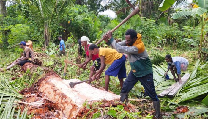 Romantika Rasa Lapar dan Politik Pangan: Kita Tidak Butuh Belas Kasihan, yang Kita Butuhkan adalah Keadilan.