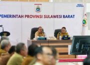 Gubernur SDK Dorong Pembangunan Kesehatan Presisi Berbasis Data