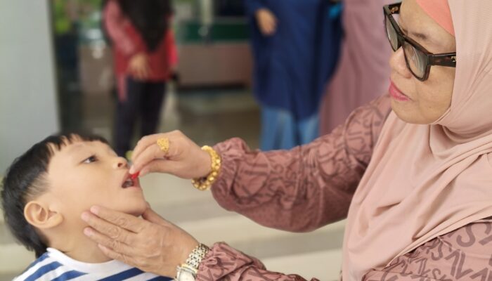 Bulan Vitamin A, Pemprov Sulbar Dorong Orang Tua Aktif Bawa Balita ke Posyandu