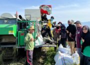 UPTD BBTPH Sulbar Mulai Panen Calon Benih Padi Inbrida di BBI Lantora, Targetkan 30 Ton Benih Berkualitas