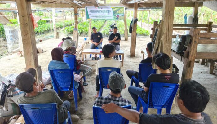 Petani Milenial Sulbar dan KMBI Dorong Hilirisasi Kakao untuk Tingkatkan Kesejahteraan Petani