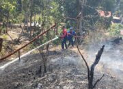 Damkar Sulbar dan Tim Gabungan Padamkan Kebakaran Lahan yang Ancam Permukiman di Rangas