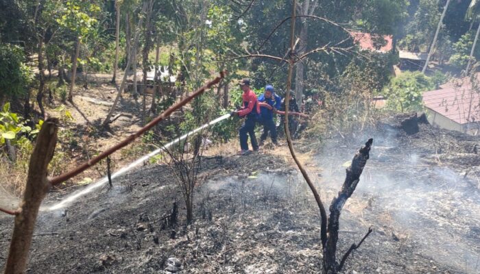 Damkar Sulbar dan Tim Gabungan Padamkan Kebakaran Lahan yang Ancam Permukiman di Rangas