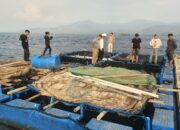 Potensi Budidaya Laut Karampuang Menjanjikan, Kerapu dan Lobster Jadi Andalan