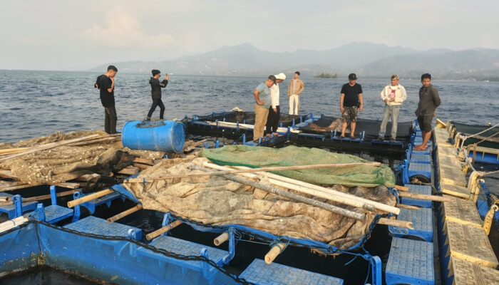 Potensi Budidaya Laut Karampuang Menjanjikan, Kerapu dan Lobster Jadi Andalan