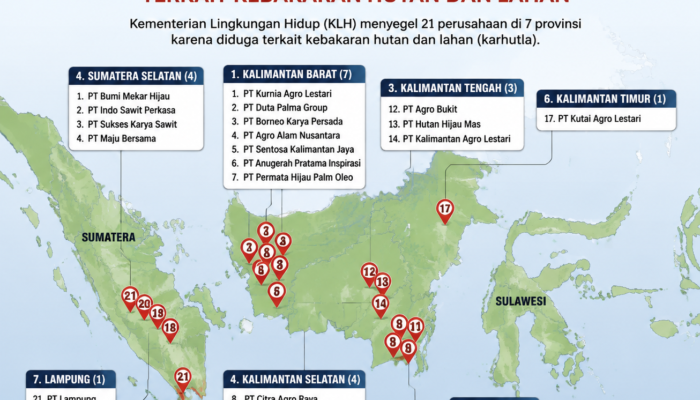 Menteri Lingkungan Hidup Segel 21 Perusahaan Terkait Karhutla, Ratusan Hektare Lahan Terbakar
