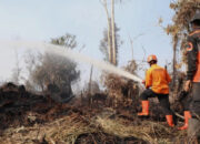 Pusat Cairkan Rp1,23 Triliun Bantuan Karhutla, BPBD Sulbar Tetap Fokus Kesiapsiagaan Mandiri