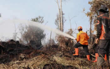 Pusat Cairkan Rp1,23 Triliun Bantuan Karhutla, BPBD Sulbar Tetap Fokus Kesiapsiagaan Mandiri