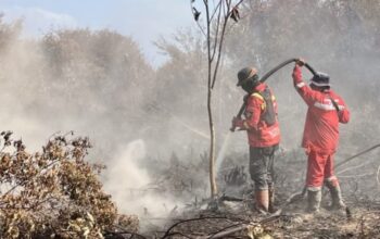 Asap Tebal di Pangale Mateng, BPBD Sulbar Telusuri Sumbernya