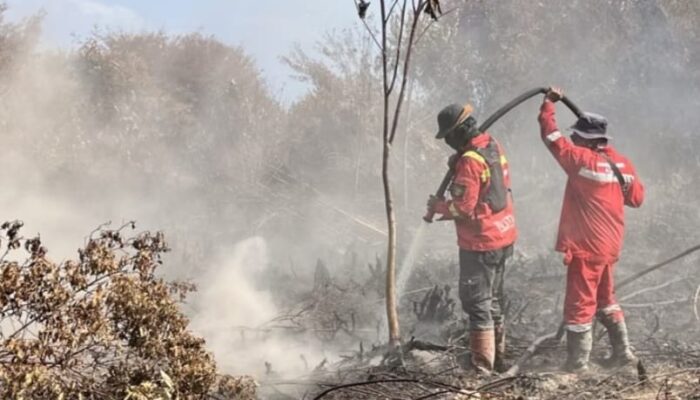Asap Tebal di Pangale Mateng, BPBD Sulbar Telusuri Sumbernya