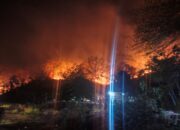 Kebakaran Lahan Sekitar 10 Hektare Terjadi di Ulumanda Majene