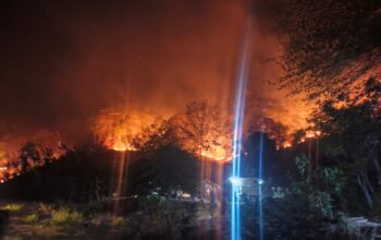Kebakaran Lahan Sekitar 10 Hektare Terjadi di Ulumanda Majene