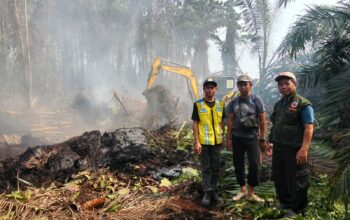 TRC BPBD Sulbar dan Tim Gabungan Tangani Karhutla di Buana Sakti Tommo