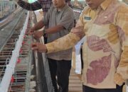 Tekan Beban Pakan Ternak, Pemprov Sulbar Fasilitasi 438 Ton SPHP Jagung bagi Peternak